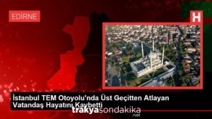 istanbul-tem-otoyolunda-ust-gecitten-atlayan-vatandas-hayatini-kaybetti-yPKKfuZ7.jpg